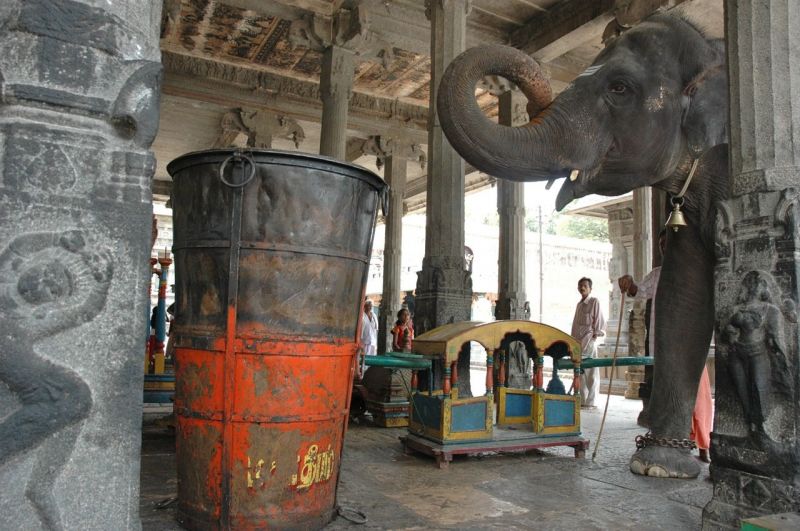 01-Arunachala Deepam
the holy cauldron stored in the temple mandapam
Keywords: Tiruvannamalai;Arunachala;Kartigaideepam;hindufestival