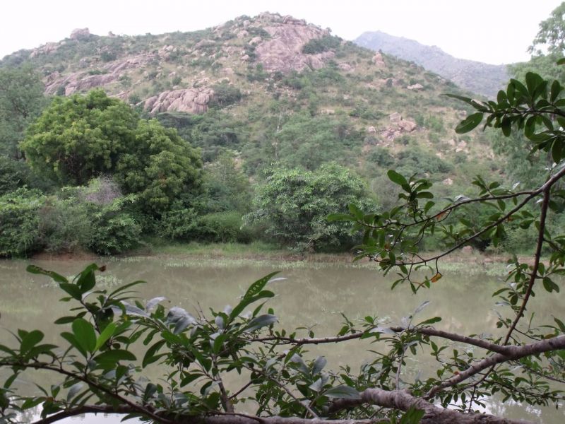 Girivalam-innerpath20
Keywords: Arunachala;Tiruvannamalai;Giripradakshina