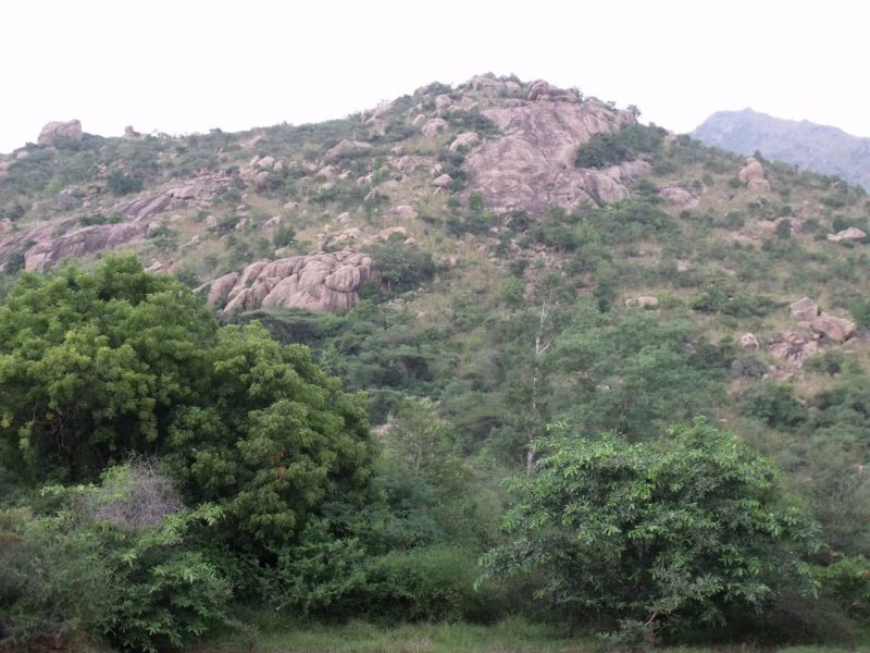 Girivalam-innerpath22
Keywords: Arunachala;Tiruvannamalai;Giripradakshina