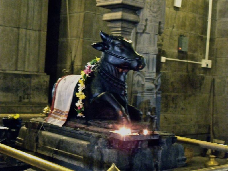 Keywords: Ramana;Ramanashram;Hindu;Saint