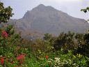 Arunachala-views08.jpg