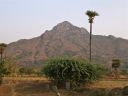 Arunachala-views11.jpg