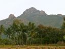 Arunachala-views20.jpg