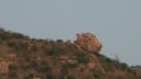Arunachala-views28.jpg