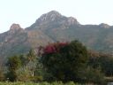 Arunachala-views44.jpg
