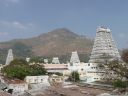 Arunachala-views51.jpg
