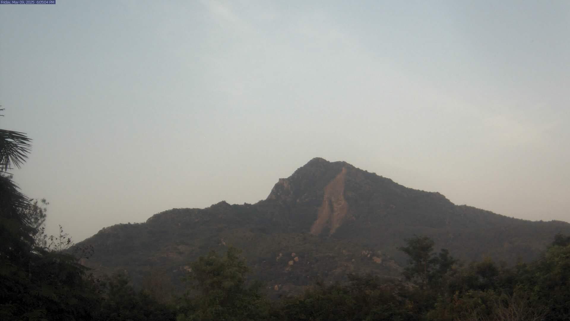 Arunachala live