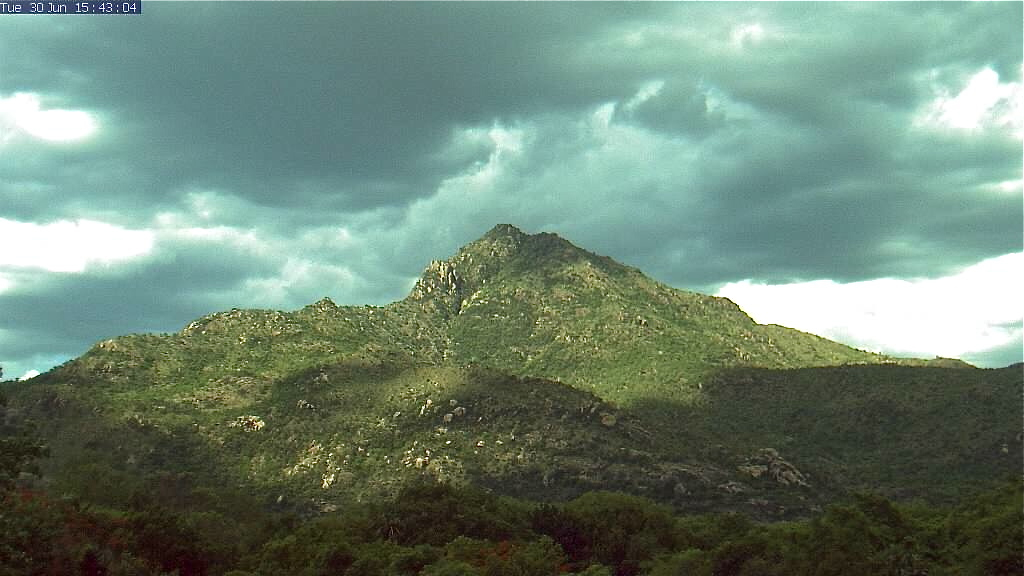 arunachala hill